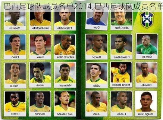 巴西足球队成员名单2014,巴西足球队成员名单